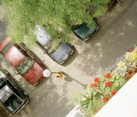 Bild: Was dem Autolack im Frühling blüht