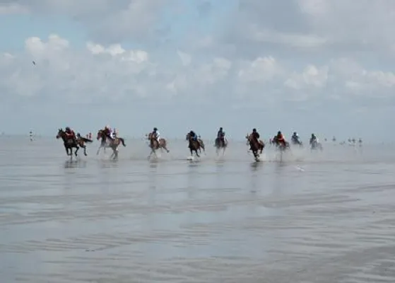 Bild: Pferderennen zwischen Ebbe und Flut