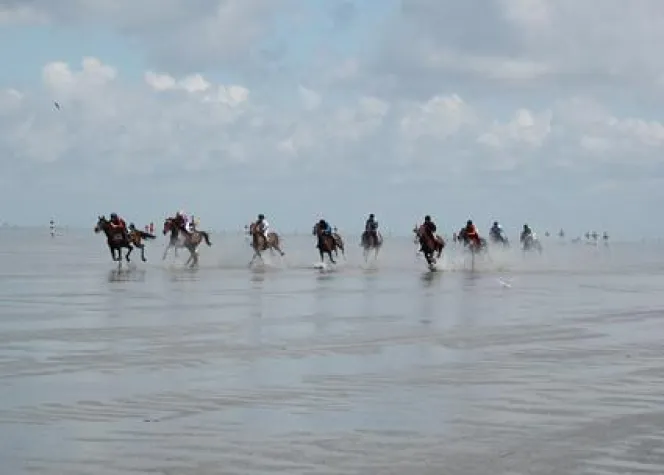 Bild: Pferderennen zwischen Ebbe und Flut