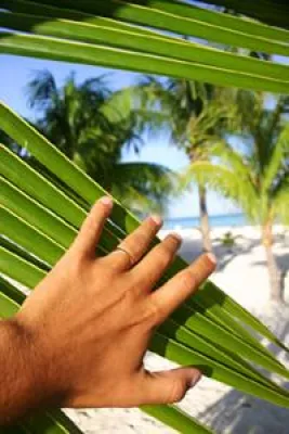 Bild: Finderin.com - eine neue Internetagentur nimmt die Suche ab
