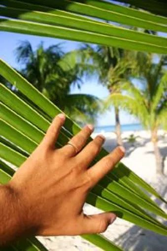 Bild: Finderin.com - eine neue Internetagentur nimmt die Suche ab
