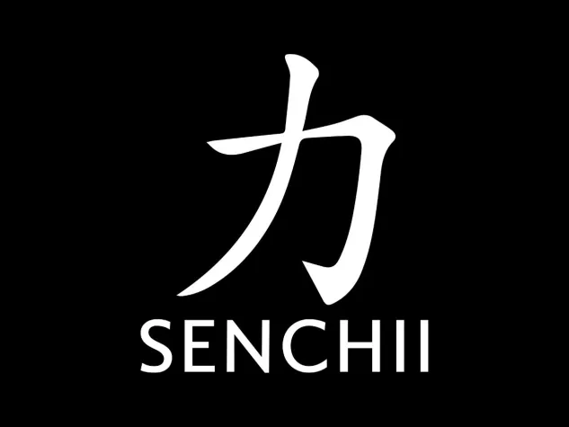 Bild: Mit SENCHII ® kommst auch Du von 0 auf 100!