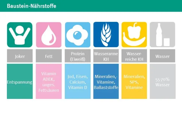 Bild: Die drei Basisstrategien im Kampf gegen Diabetes