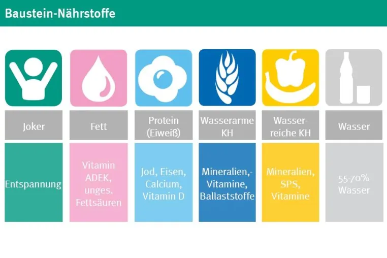 Bild: Die drei Basisstrategien im Kampf gegen Diabetes