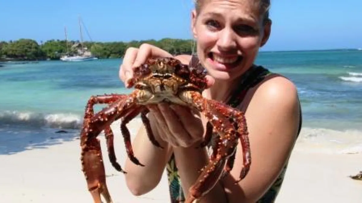 Martina Hirschmeier ist überrascht, wie hart und stachelig so ein Taschenkrebs ist.
