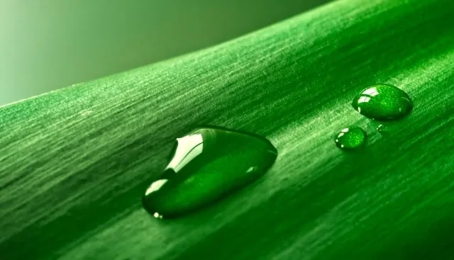 Bild: Nie wieder schrubben und gleichzeitig die Umwelt schonen: SKD GmbH Frankfurt....