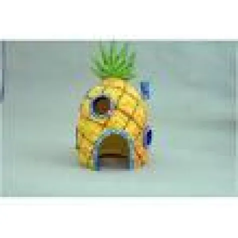 Bild: Spongebob Schwammkopf Aquariumzubehör und Aquariensets jetzt bei tierundteich.de