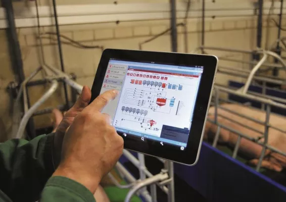 Bild: Einfach, mobil, ganzheitlich: Neue WEDA-Software verbessert Sauen-Management