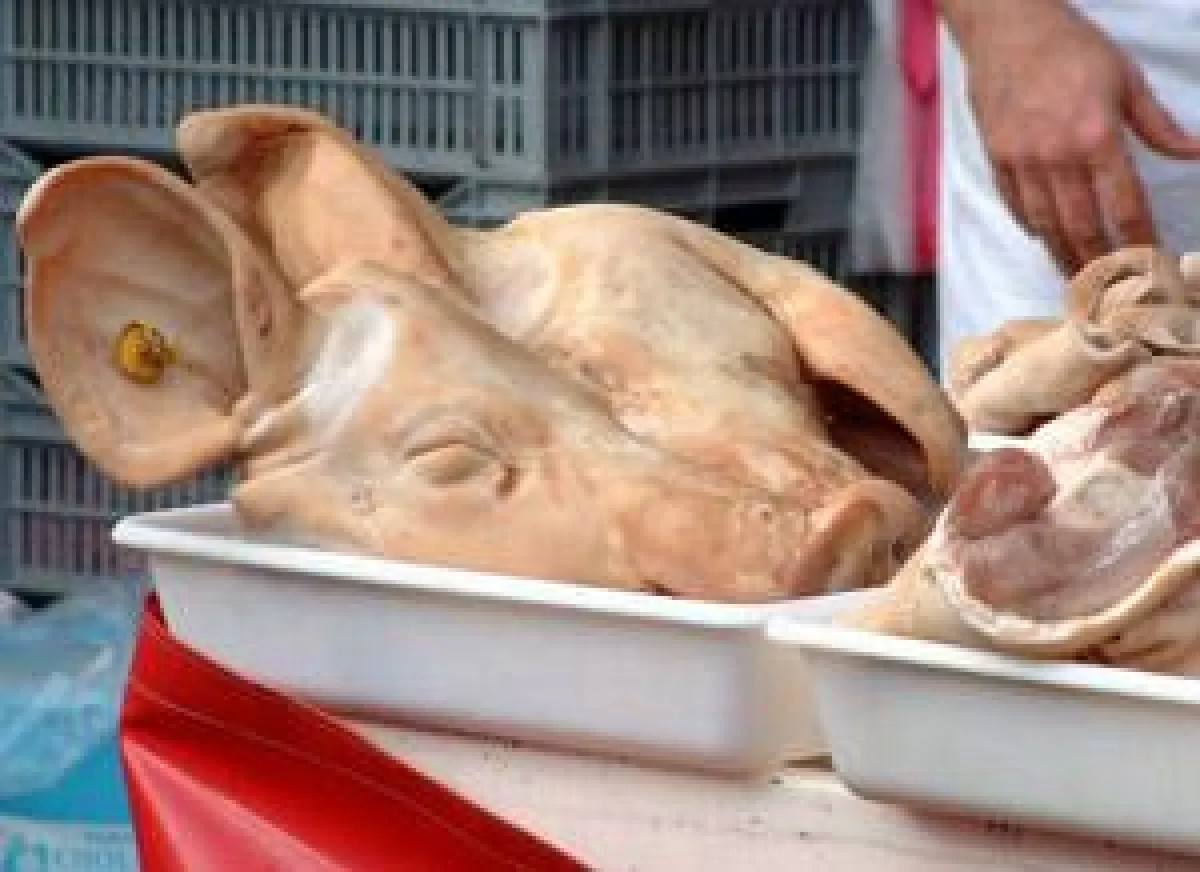 Schweineköpfe und Rinderwahnsinn