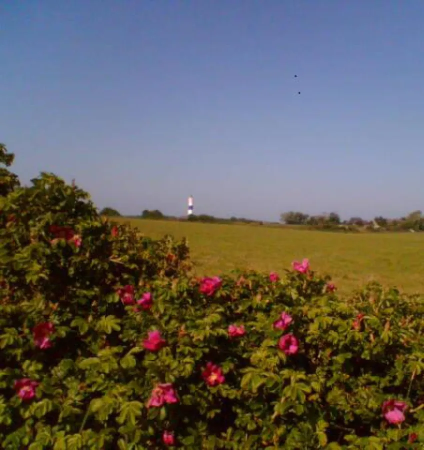 Sylt: Ein idealer Ort zum Schreiben