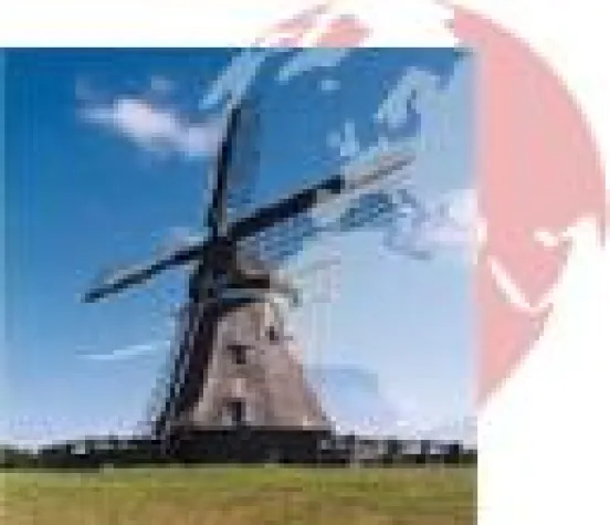 Bild: Sprachschule Kappenberg bereitet auf Studium in den Niederlanden vor