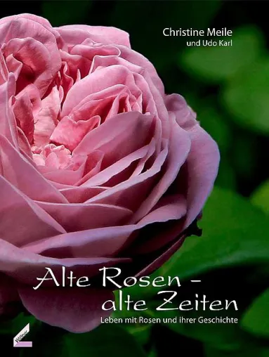 Bild: Ihre Rosen blühen seit vielen Sommern