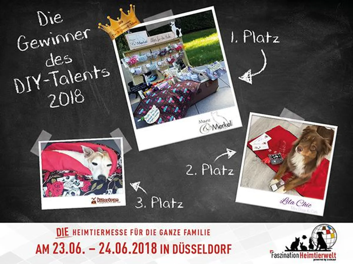 Die Sieger des DIY-Talentwettbewerbs überzeugten mit handgefertigten Accessoires für Vierbeiner