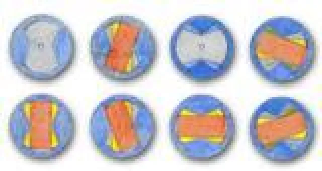 Bild: Neu entwickelte Schrauben helfen beim Heimwerken und Renovieren