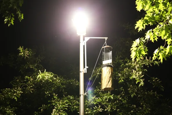 Bild: Lichtverschmutzung im Bundesnaturschutzgesetz: Erstmals wissenschaftlich fundierte Regelungsoptionen vorgelegt 