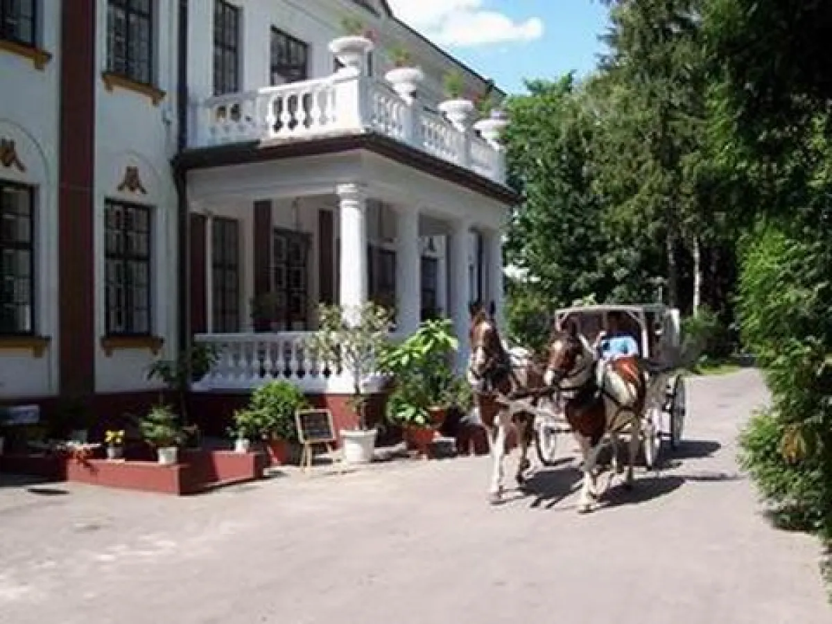 Hotel Magnat SPA - Spazierfahrt mit der Kalesche