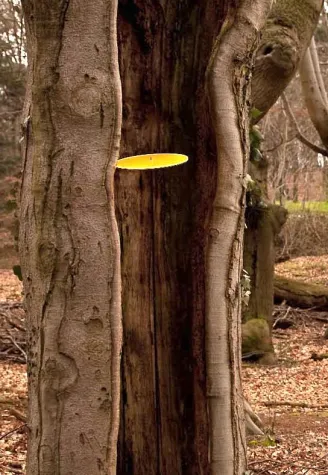 Bild: Cazadore del sol verwandeln Natur in Kunst