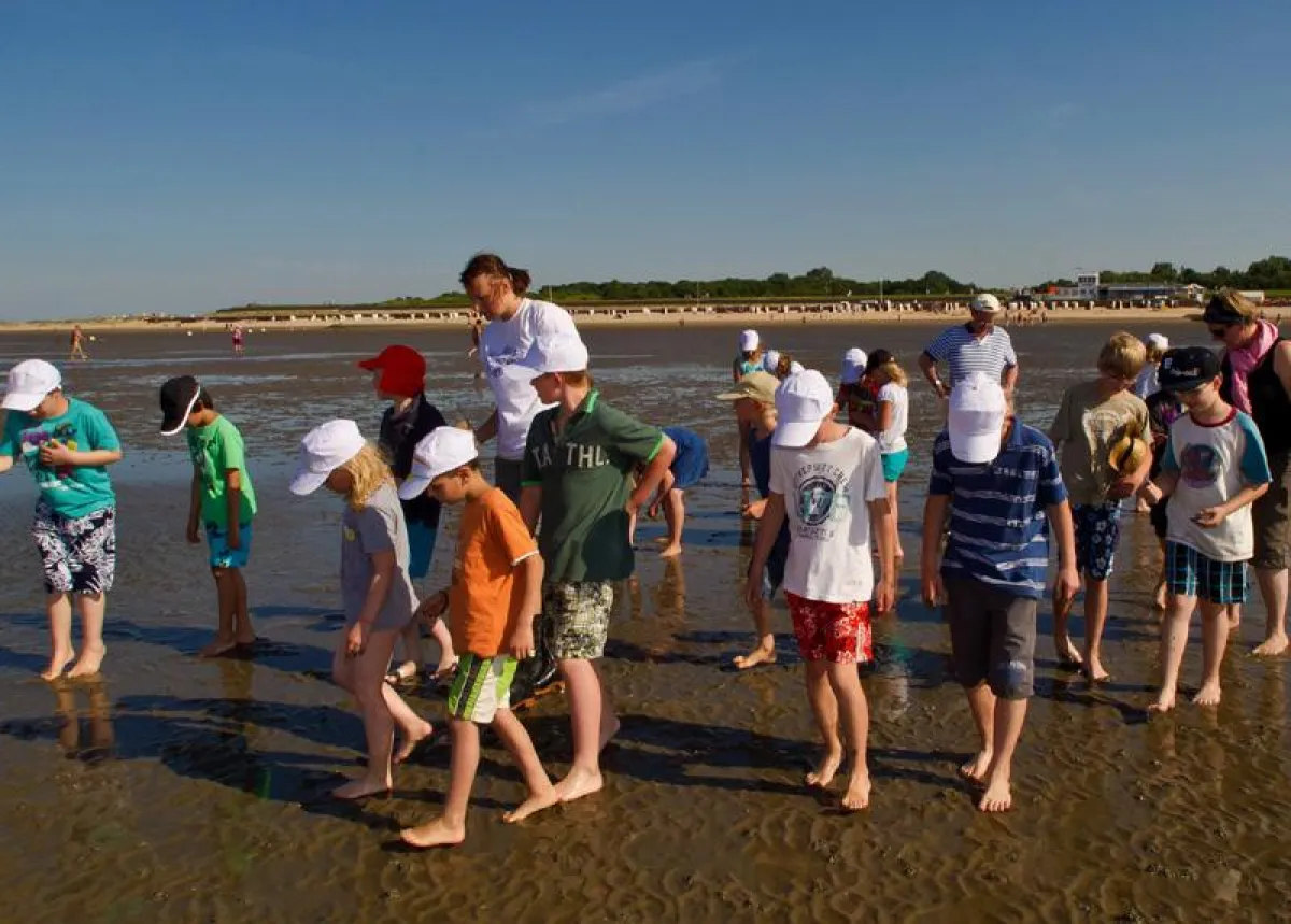 Auf der Suche nach dem Wattwurm: ?Blaues Klassenzimmer? in Cuxhaven