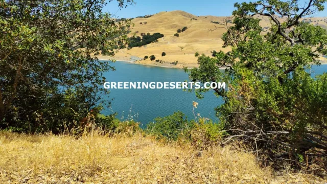 Dürre in Deutschland und Europa setzt der Monokultur-Forstwirtschaft, Landwirtschaft und Bevölkerung stark zu Bild: Dürre in Deutschland und Europa setzt der Monokultur-Forstwirtschaft, Landwirtschaft und Bevölkerung stark zu