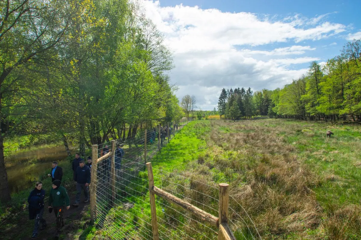 Rundgang um das neue Elchgehege