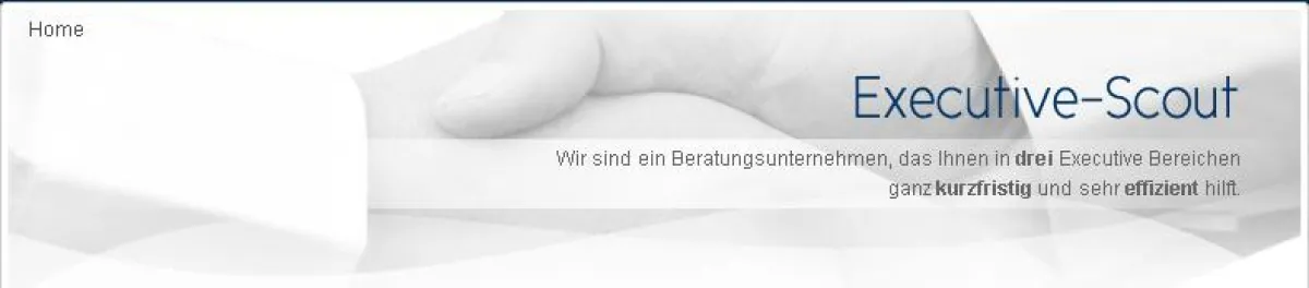 Interim Management Scout