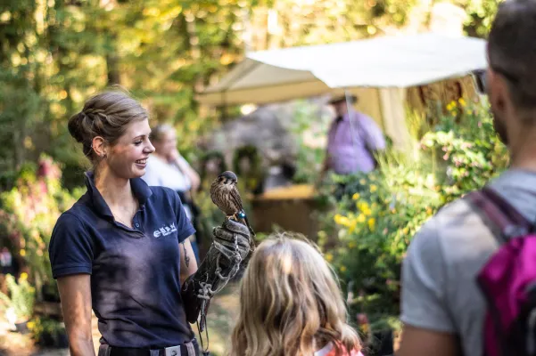Bild: Pflanzen- und Kunsthandwerkermarkt im Wildpark Müden