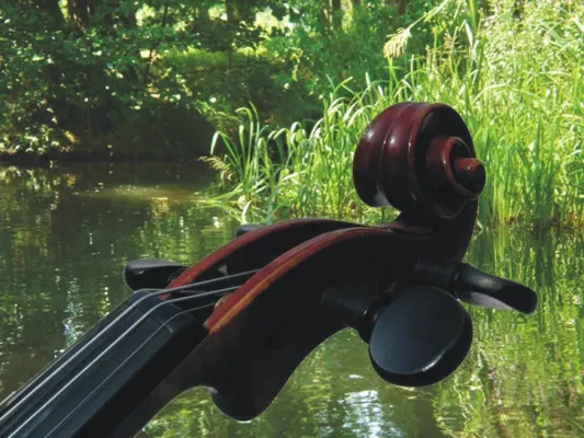 Bild: Im Spreewald spielt DIE Musik