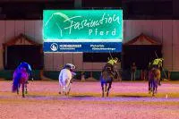 Bild: Tentpegging Germany die Deutsche Nationalmannschaft Waffenreiten bei den TOP GALA-Shows der Faszination P