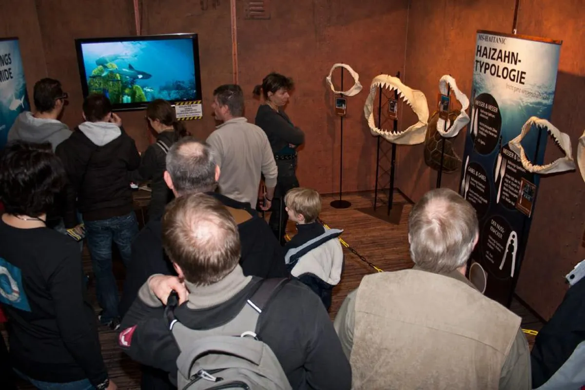 Haitanic - die kleinste größte Haiausstellung der Welt