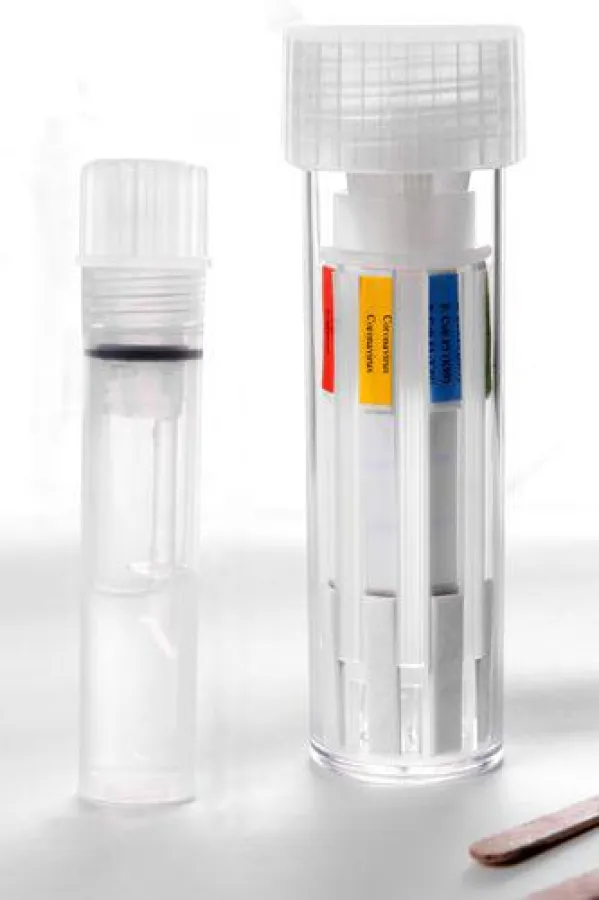 Rainbow Test bei QuIdee