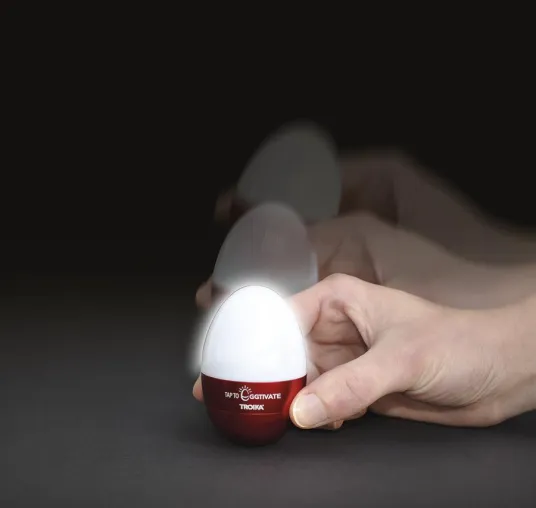 Bild: EGGTIVATE - ein sechs Minuten Licht-Ei: Leuchtet sanft, lässt die anderen schlafen