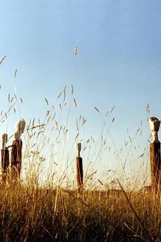 Bild: La Rogaia-Skulpturenpark im Olivenhain- Natur und Kunst als Geschenkidee