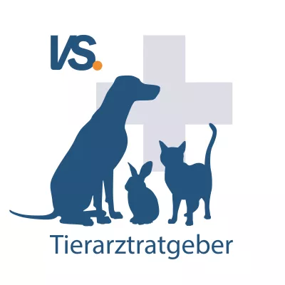 Bild: Tierarztbesuch leicht gemacht: der Tierarztratgeber – jetzt neu bei vs vergleichen-und-sparen.de