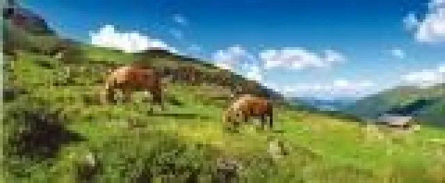 Wandern als Inszenierung im österreichischen \"Tal der Spiele\" Bild: Wandern als Inszenierung im österreichischen \"Tal der Spiele\"