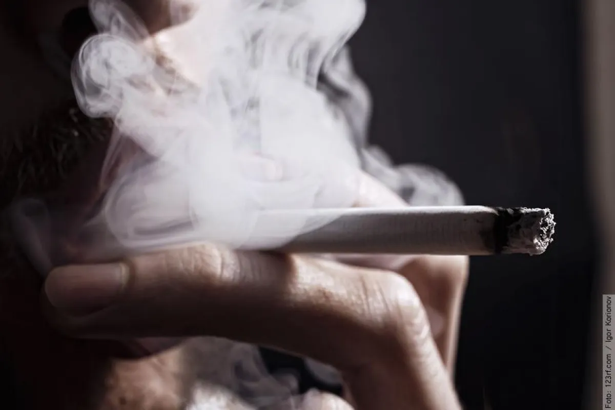 Immer noch viele Tierversuche in der Tabakindustrie