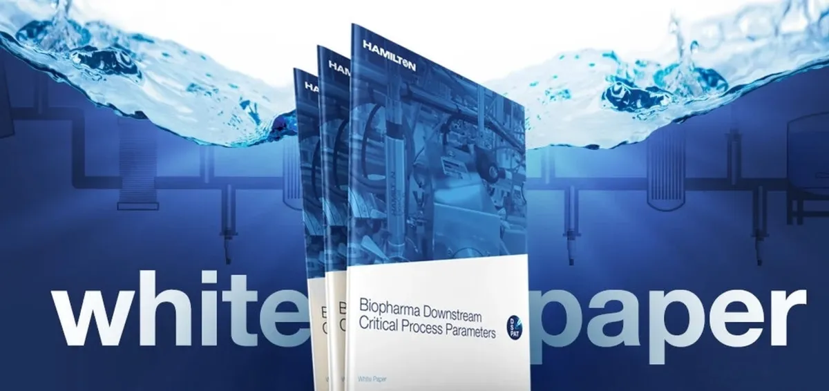 Neues White Paper bietet umfassenden Überblick auf DSP (© Hamilton)