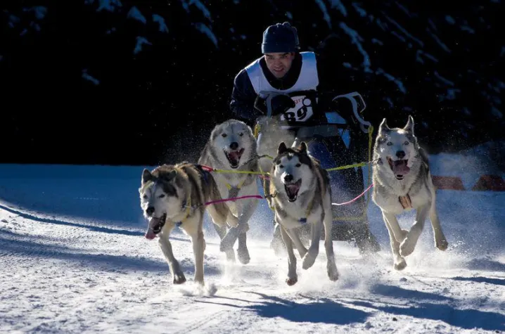 Bild: Wer ist der Schnellste im ganzen Land?