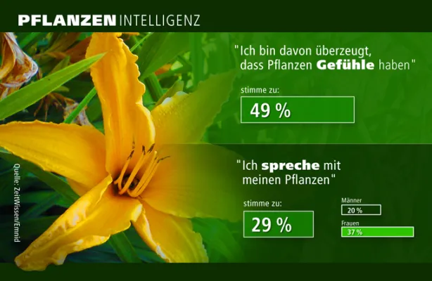 Bild: Jeder dritte Deutsche spricht mit seinen Pflanzen! Aber können die das auch verstehen? Wissenschaftler erforschen den Pflanzen-IQ