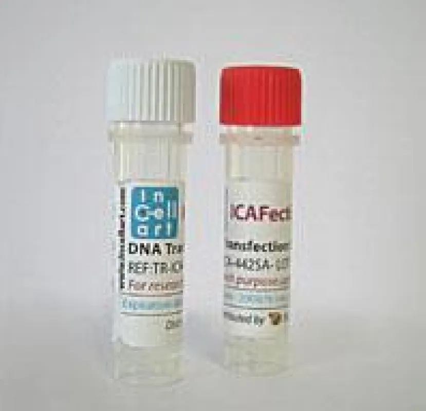 Der Nanocarrier ICA614 stellt einen wichtigen Fortschritt für die Entwicklung neuer DNA-Vakzine dar. Er befindet sich derzeit bei Pharmazieunternehmen in der Testphase.