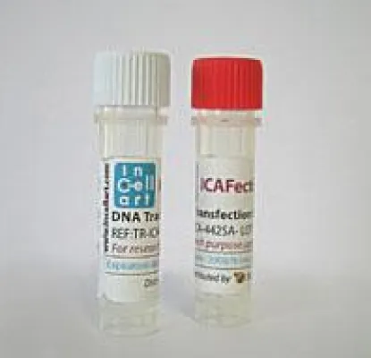 Nanocarrier für neue Generation von Impfstoffen Bild: Nanocarrier für neue Generation von Impfstoffen