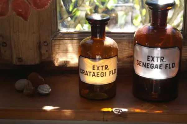 Bild: Gesundheitsberater werden mit Naturtherapie