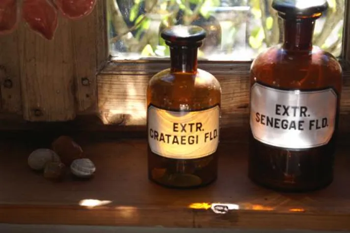 Bild: Gesundheitsberater werden mit Naturtherapie