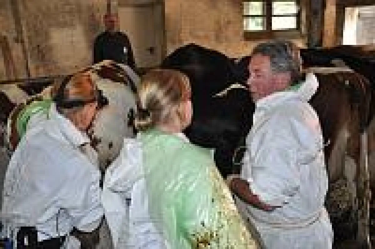 AVA-Kurse zur Trächtigkeitsdiagnostik