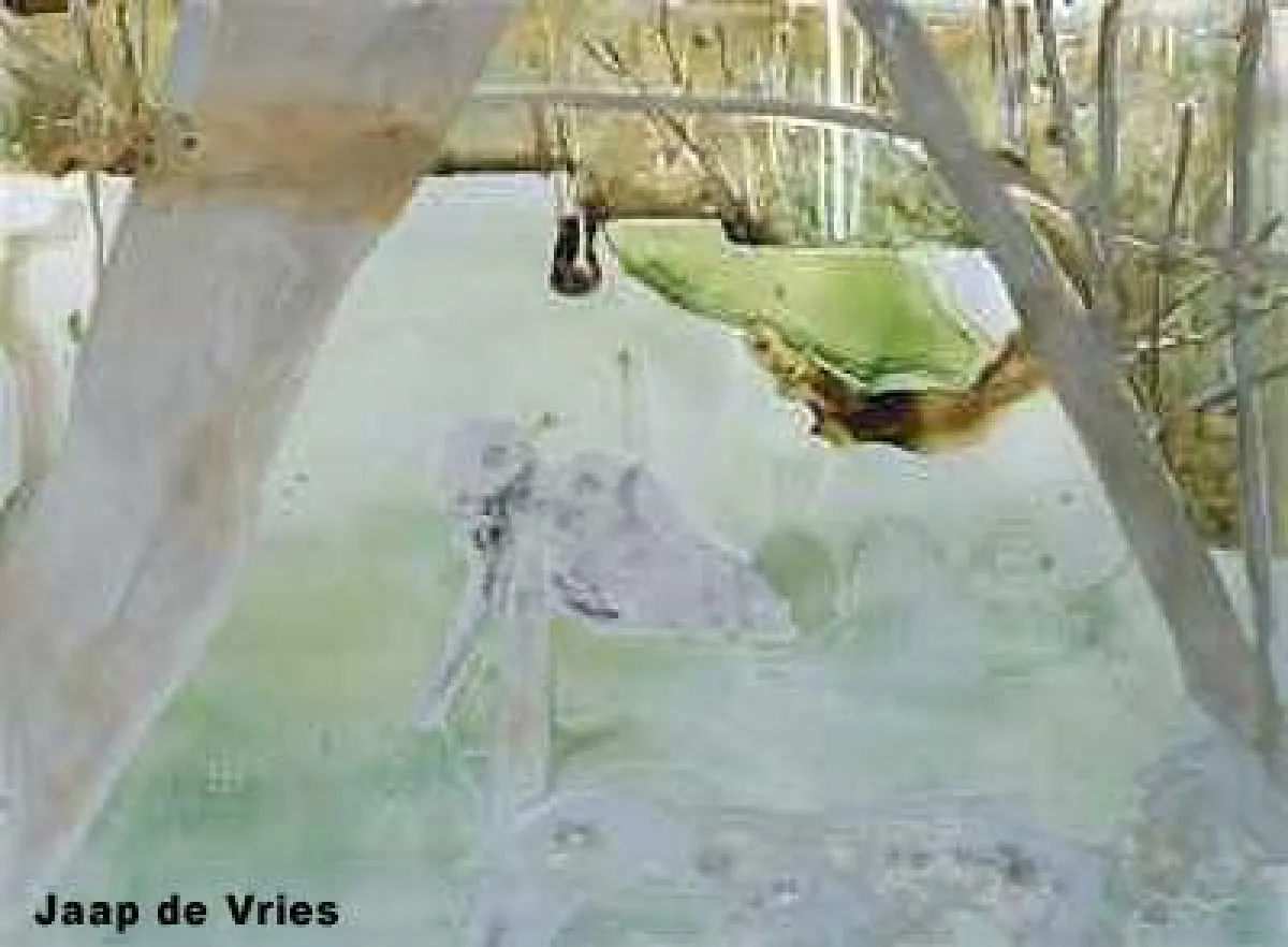 Kuratierte Kunst im Internet