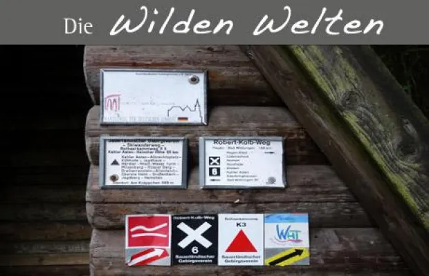 Bild: Dienstag 16.06.2009 - Geführte Wanderung auf dem Hohen Knochen im Sauerland