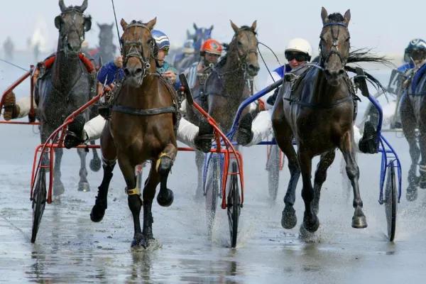Bild: Pferderennen auf dem Meeresboden