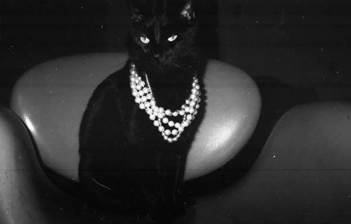 Daniel Knorr, Family Jewels, 2010