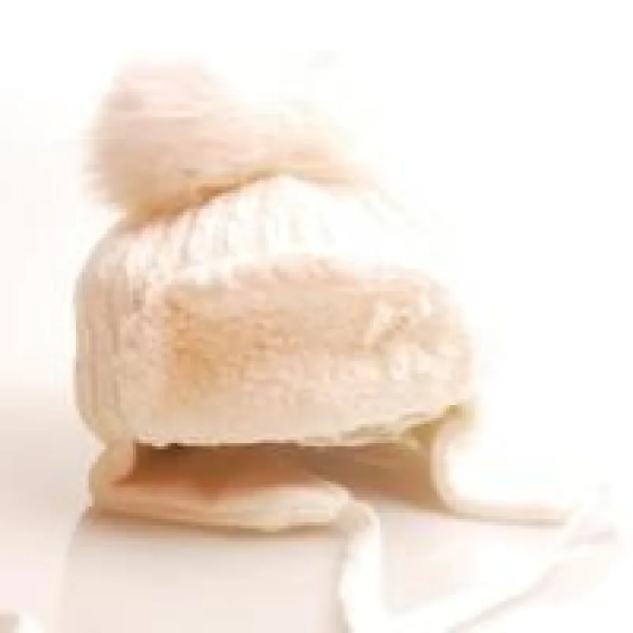 Kuschelige Mütze mit Echtem Fellpompon ab 21,90 €