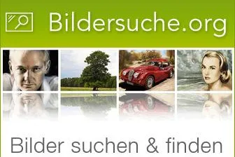 Bild: Bildersuche.org: Im Internet Bilder suchen und finden