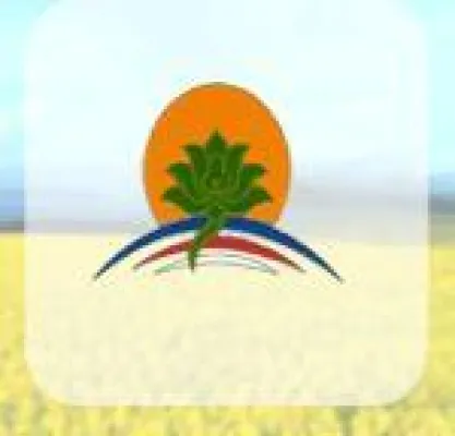 Bild: China Yingxia gibt Zahlen des 3. Quartals bekannt